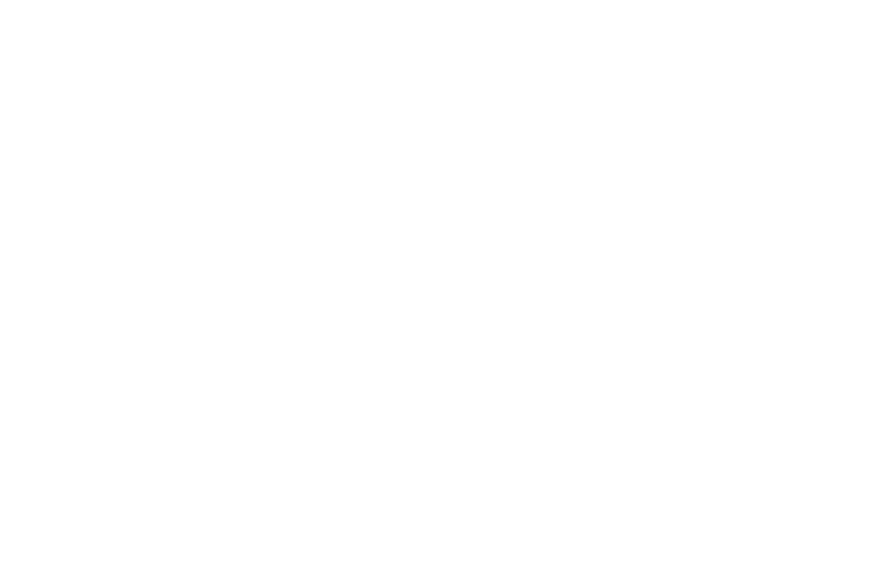 Logo Velo Wil twolines